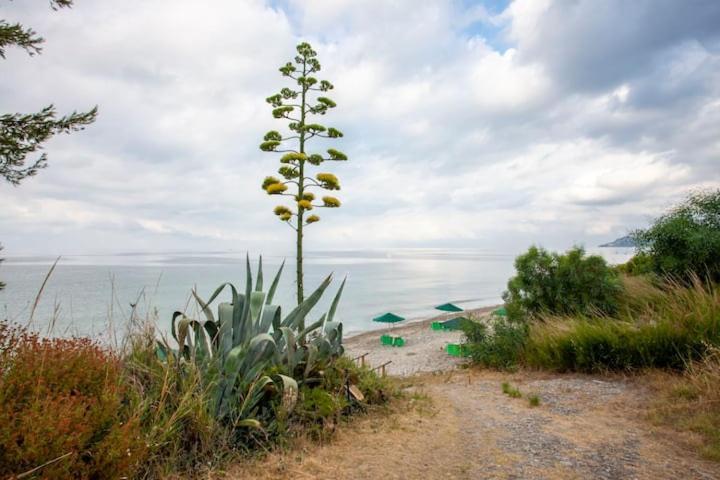 Mola Kaliva Sea View, 100M From The Beach! Kültér fotó
